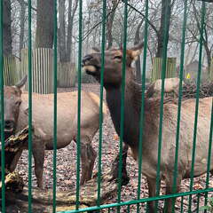 24-12-06 15-50-49 1666